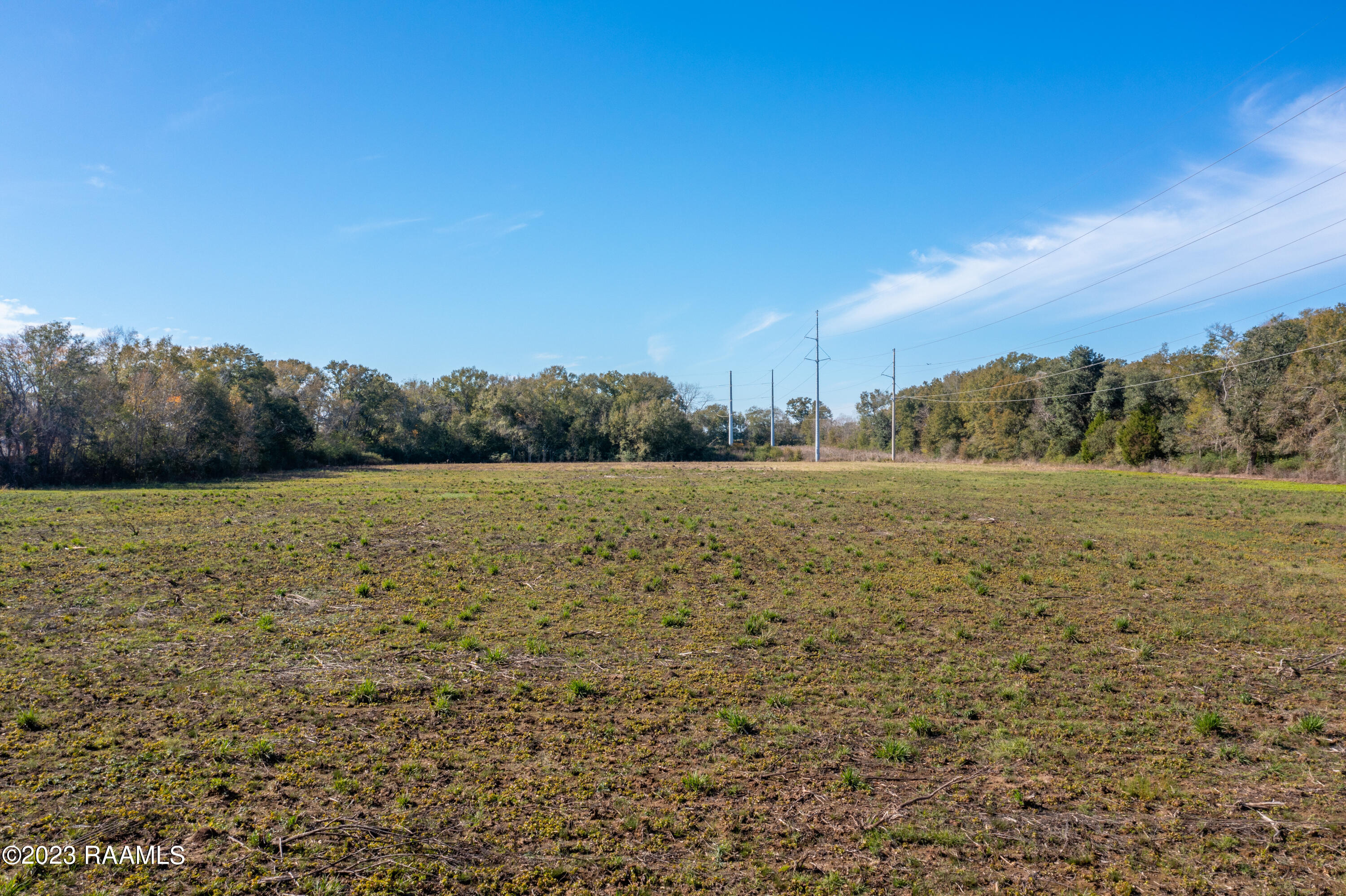 100 Goodie Road Maurice, LA 70555 - Photo 4 of 6 TBDGoodie-8