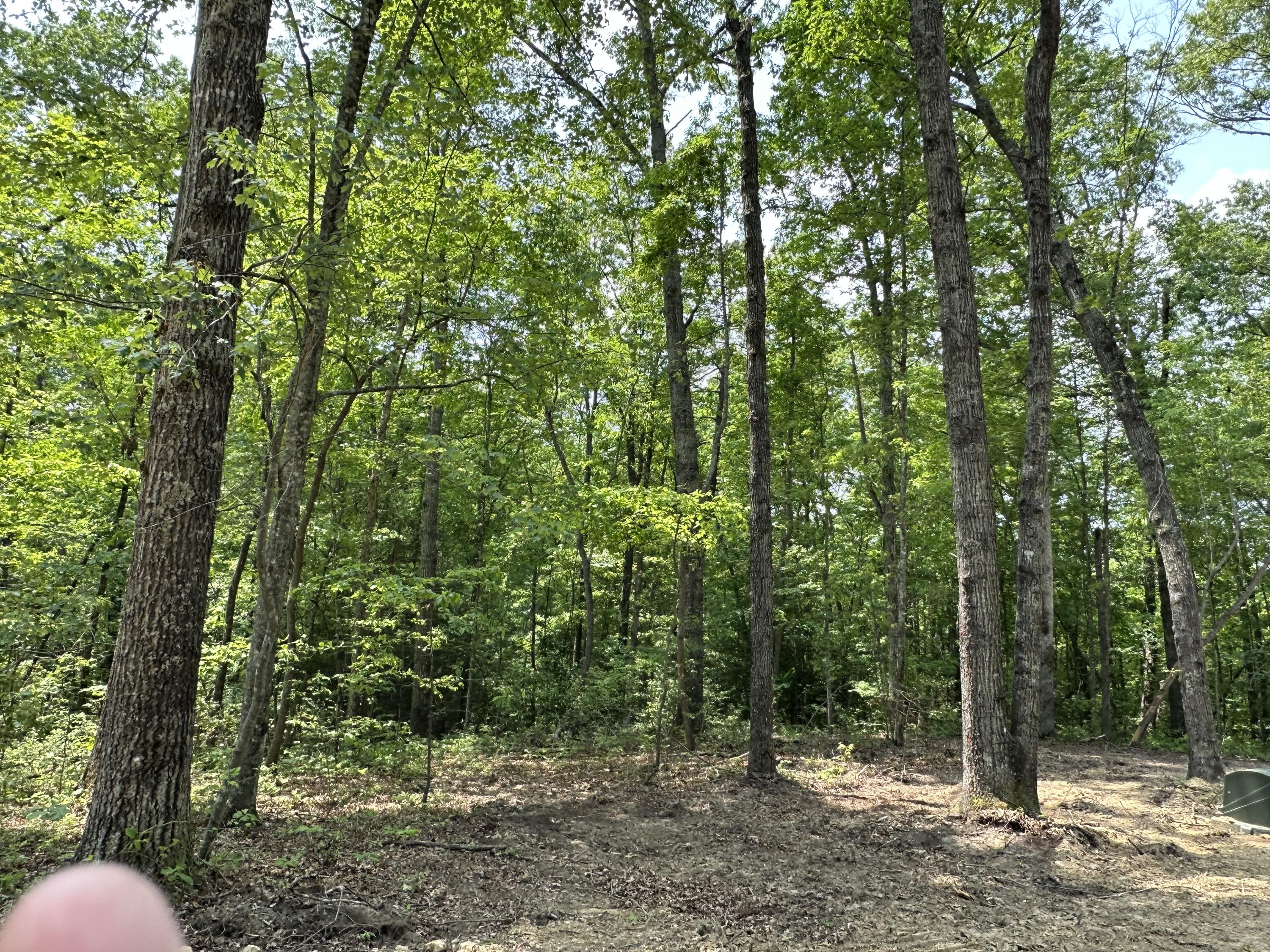 7 Bozeman Road Corbin, KY 40701 - Photo 31 of 34 IMG_5871