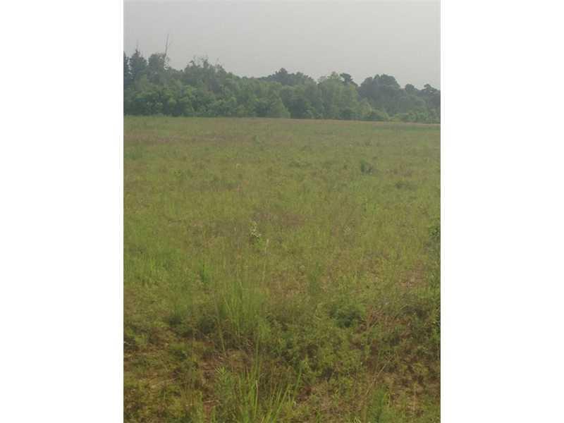 Lot 31 Bogue Run Road Franklinton, LA 70438 - Photo 4 of 5 Gallery Image 4