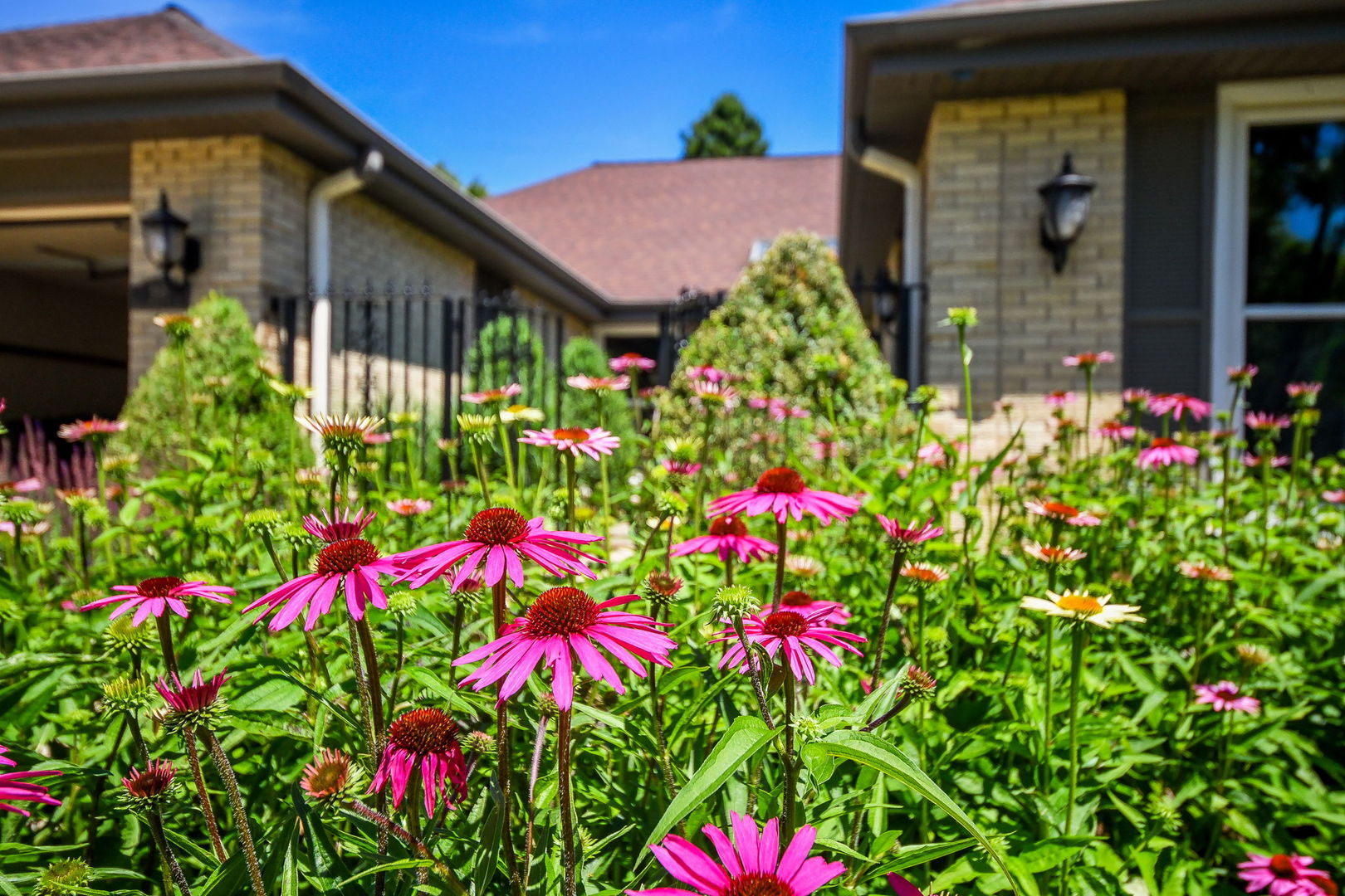 588 Williamsburg Road Glen Ellyn, IL 60137 - Photo 5 of 53