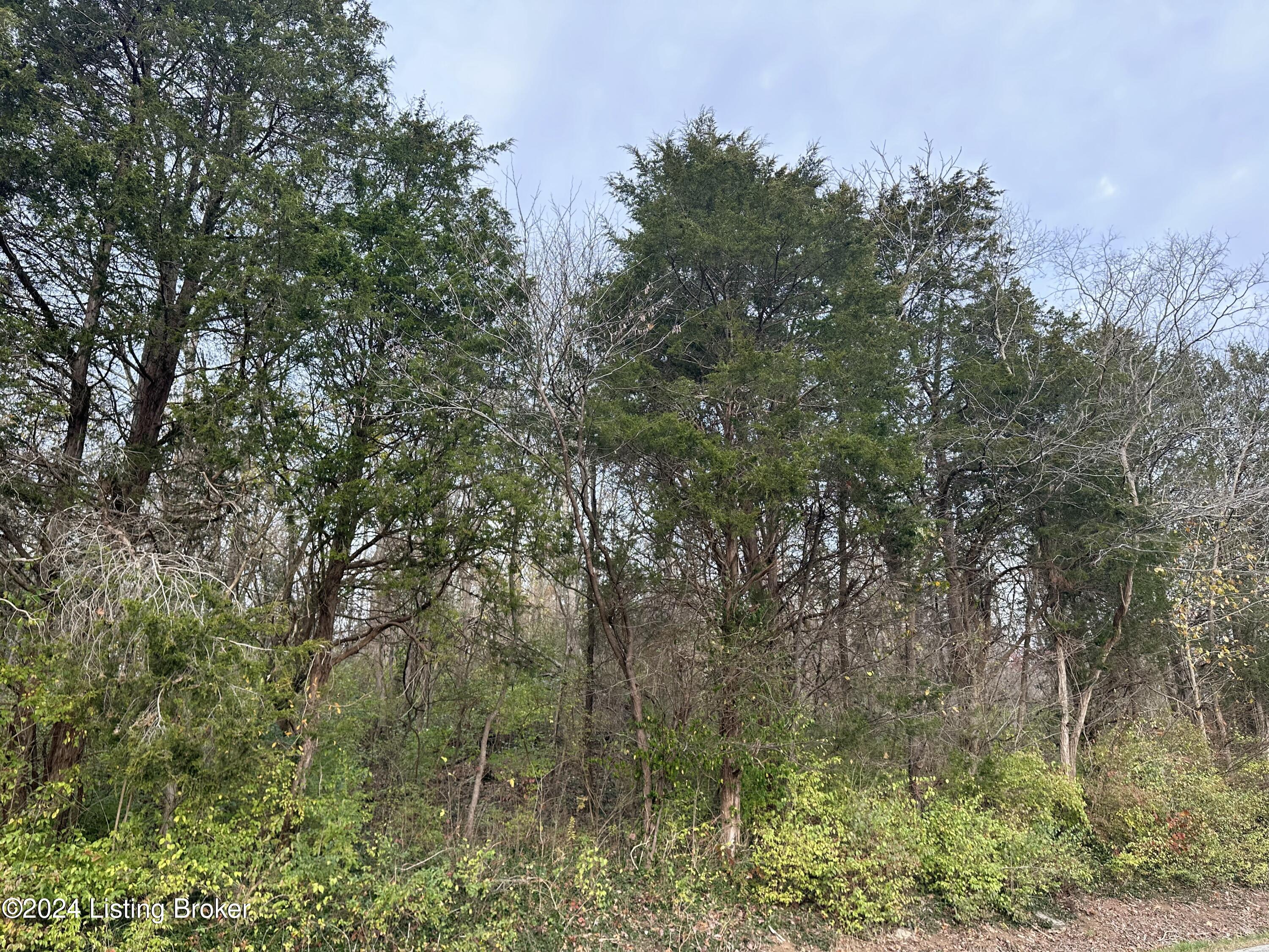 0 River Road Worthville, KY 41098 - Photo 10 of 23 River Rd