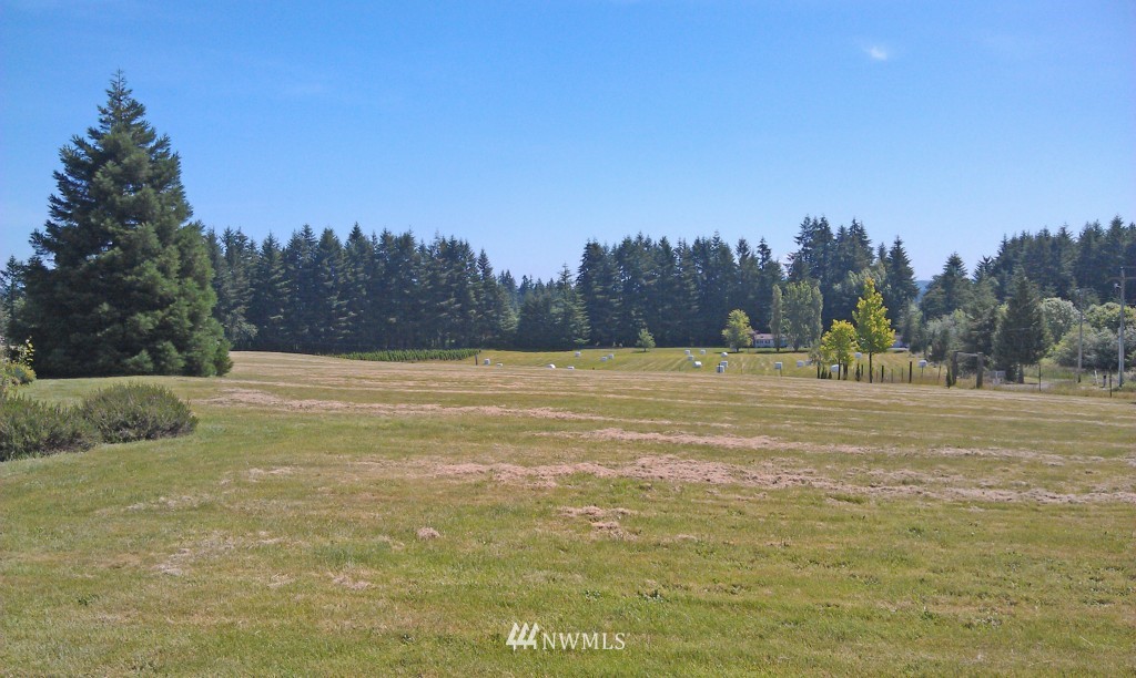9246 Gastaeson Lane Southwest Rochester, WA 98579 - Photo 24 of 25