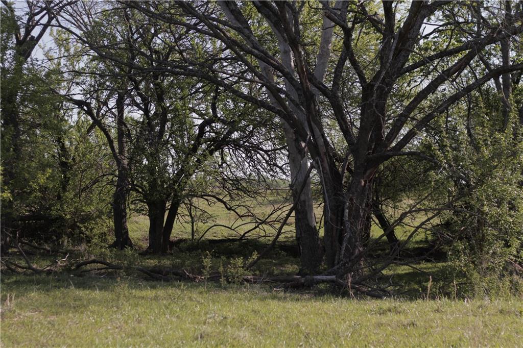 0 Delaware Road Elsmore, KS 66732 - Photo 34 of 63