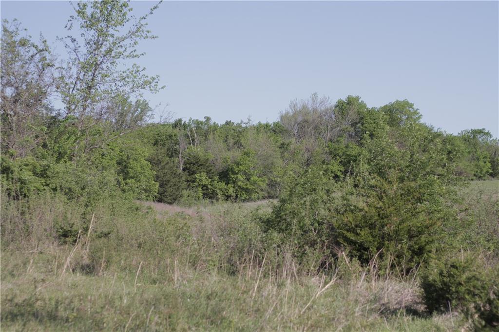 0 Delaware Road Elsmore, KS 66732 - Photo 45 of 63