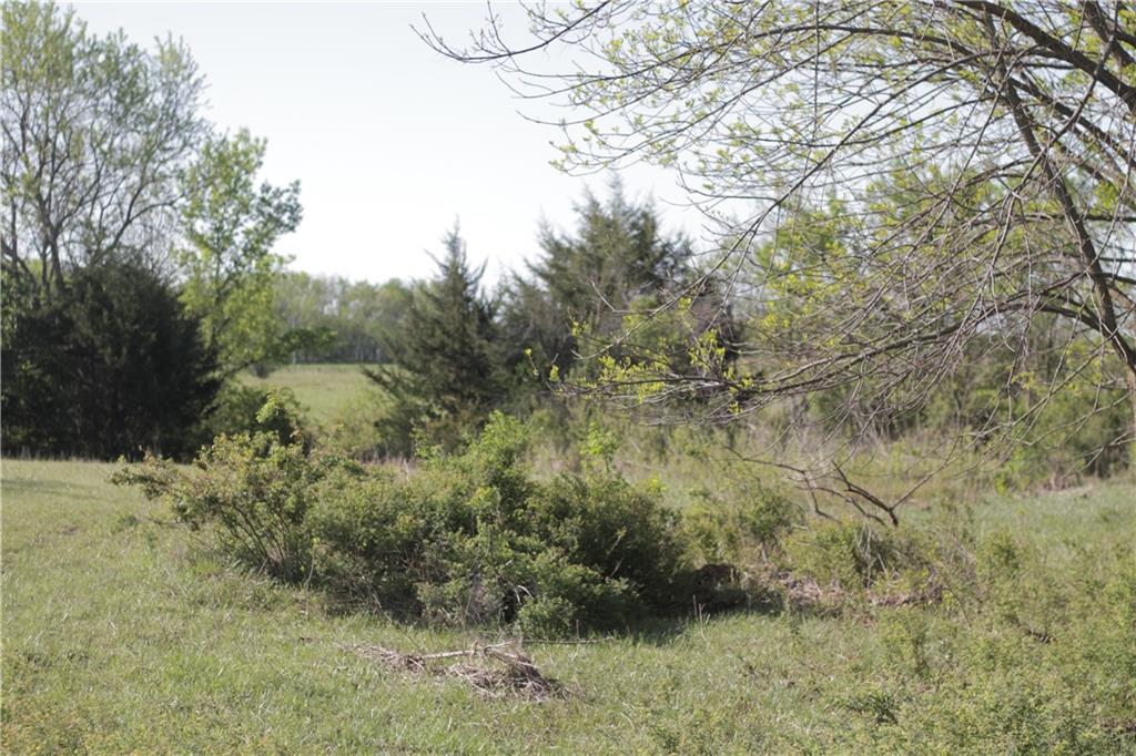 0 Delaware Road Elsmore, KS 66732 - Photo 49 of 63