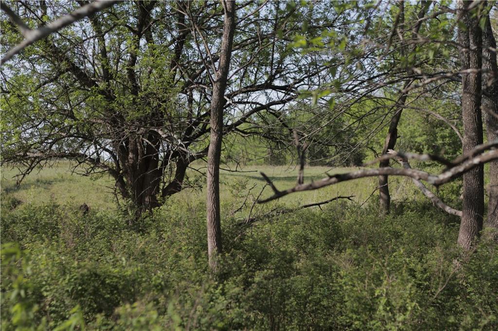 0 Delaware Road Elsmore, KS 66732 - Photo 51 of 63