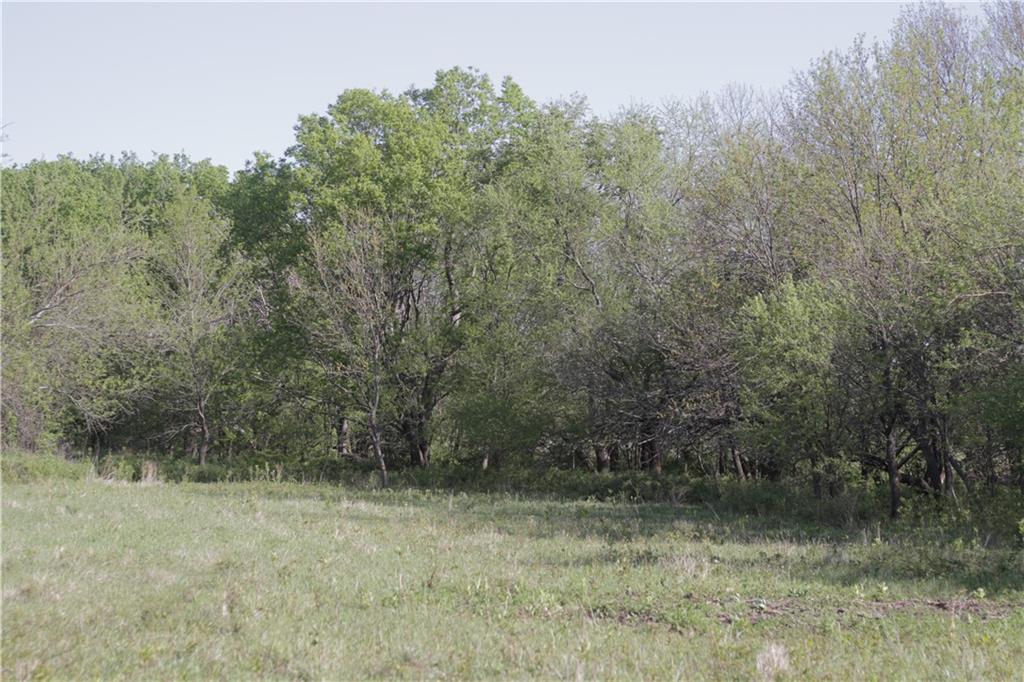 0 Delaware Road Elsmore, KS 66732 - Photo 52 of 63