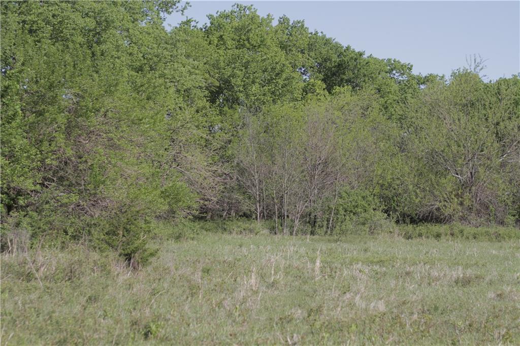 0 Delaware Road Elsmore, KS 66732 - Photo 53 of 63