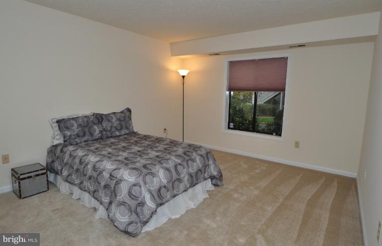 2234 Hunter's Run Drive, Unit 2234 Reston, VA 20191 - Photo 10 of 12 Bedroom (Master)