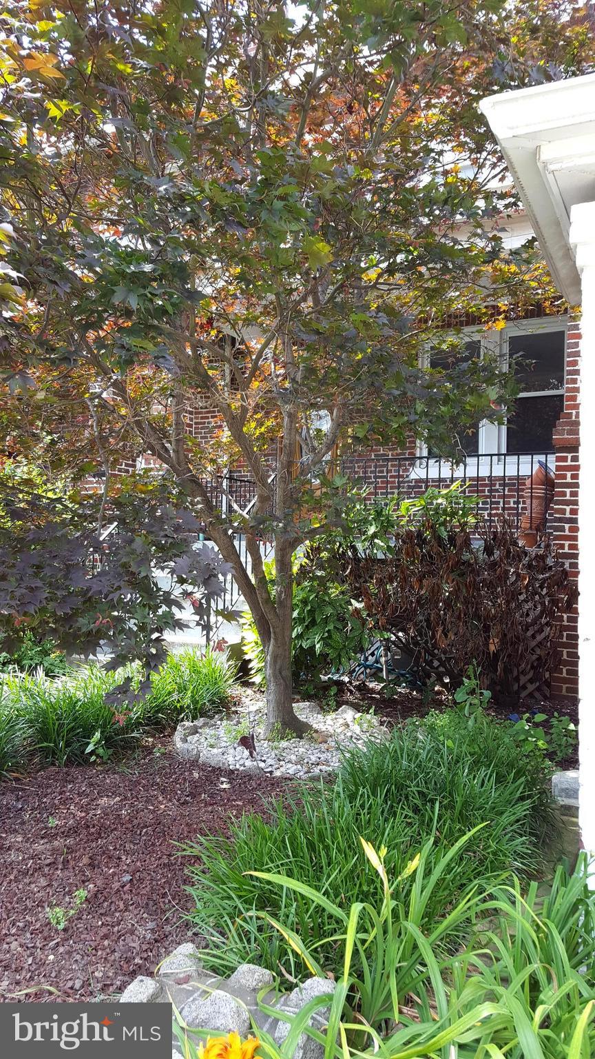 1237 Oates Street Northeast Washington, DC 20002 - Photo 3 of 15 a backyard of a house with lots of green space