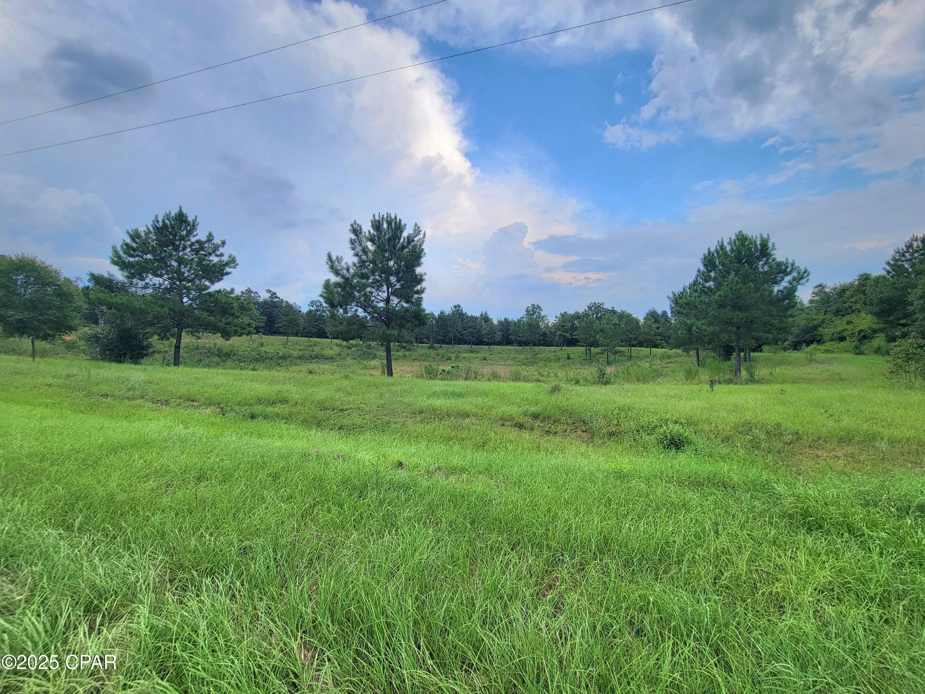 0 Lovedale Road Sneads, FL 32460 - Photo 1 of 5