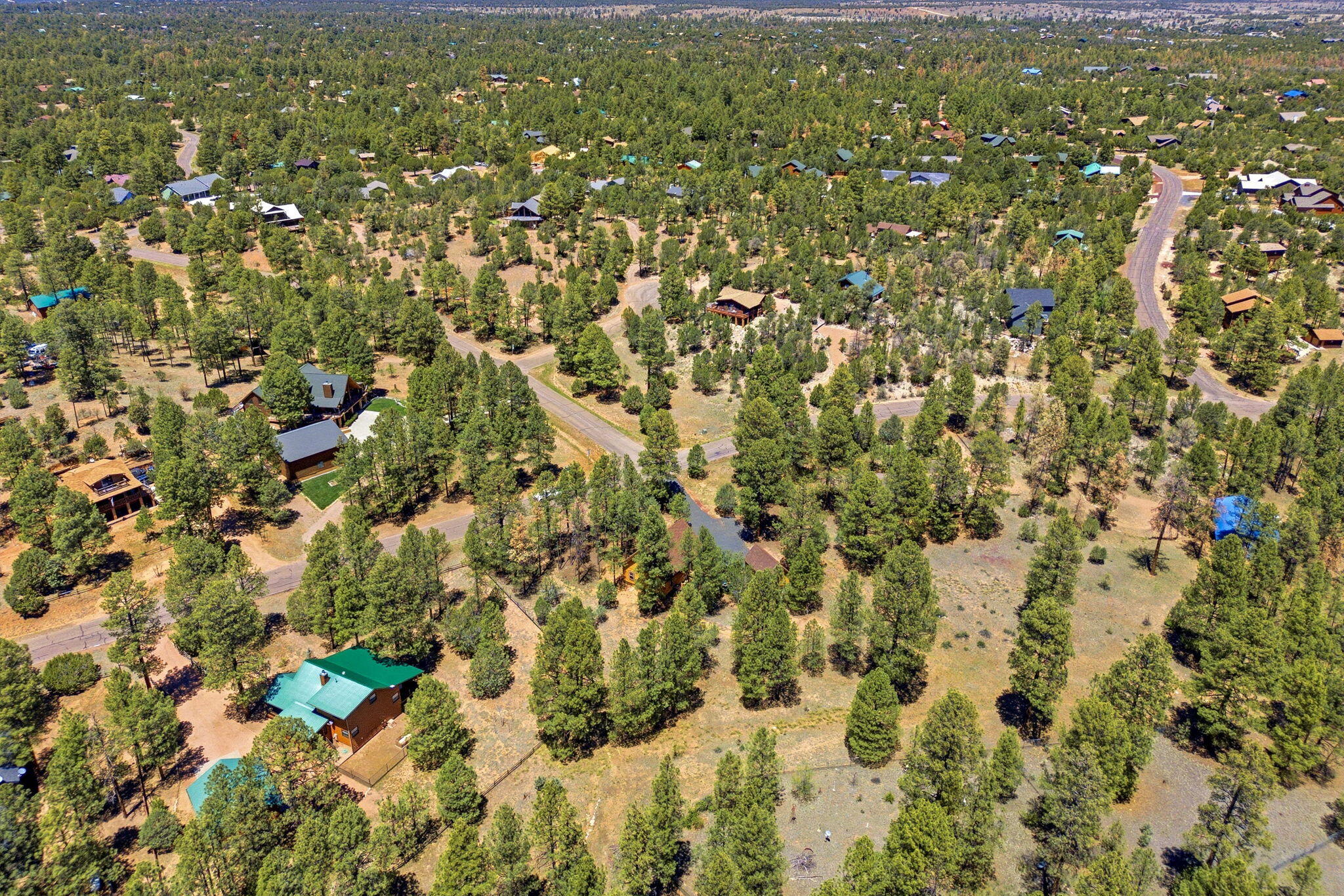 2905 Lodgepole Road Overgaard, AZ 85933 - Photo 39 of 42