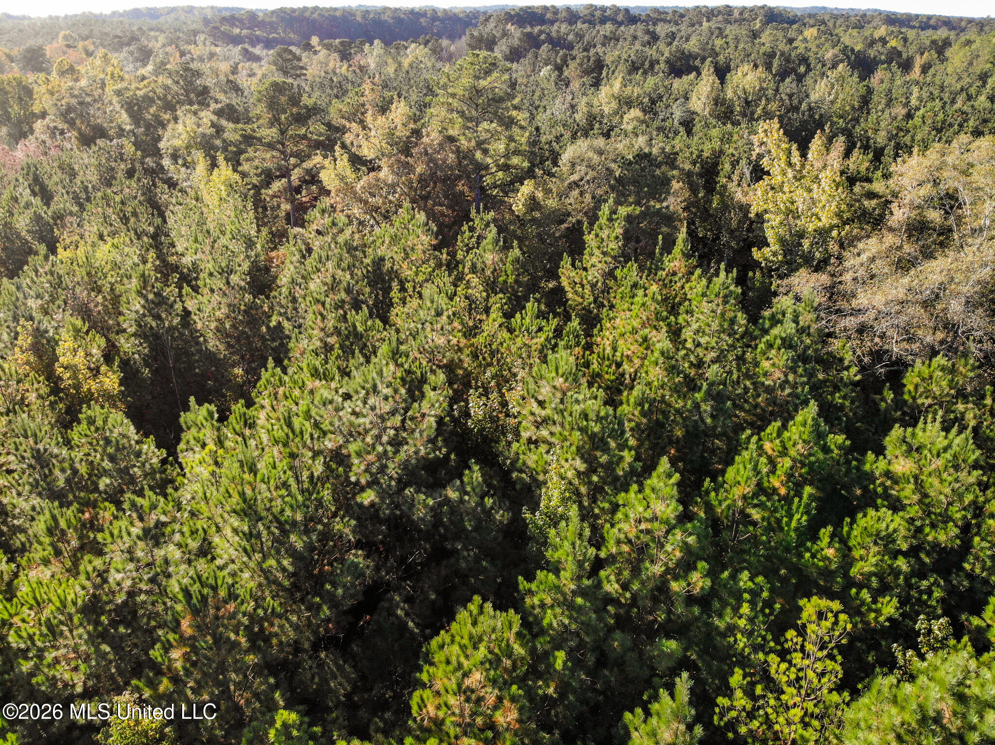 Sandflat Road Meridian, MS 39301 - Photo 11 of 11 DJI_0804