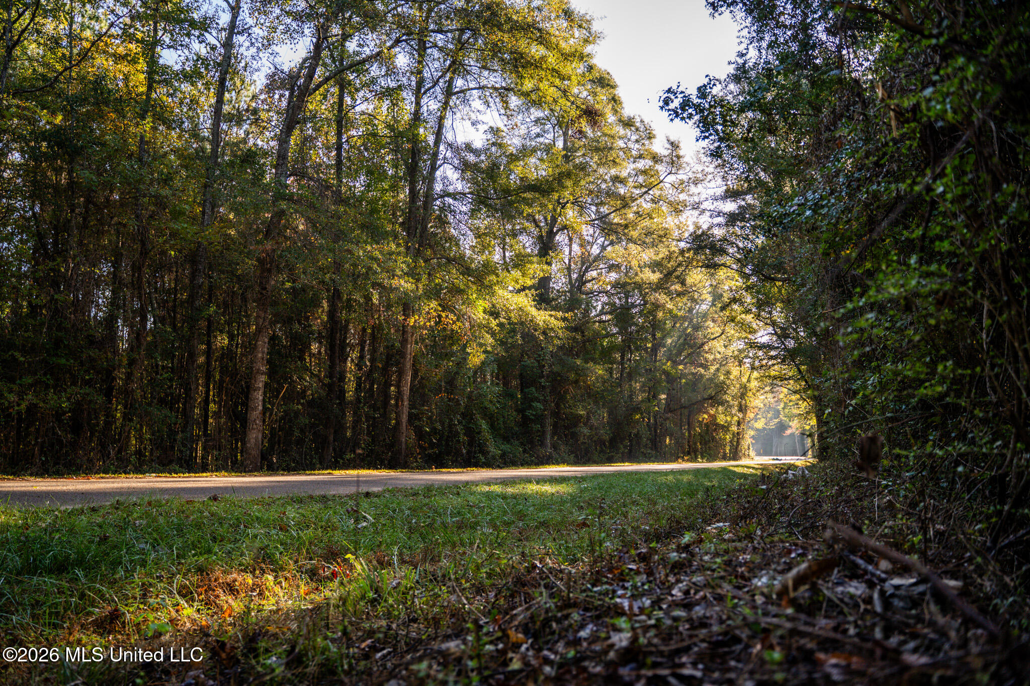 Sandflat Road Meridian, MS 39301 - Photo 2 of 11 DSC07409