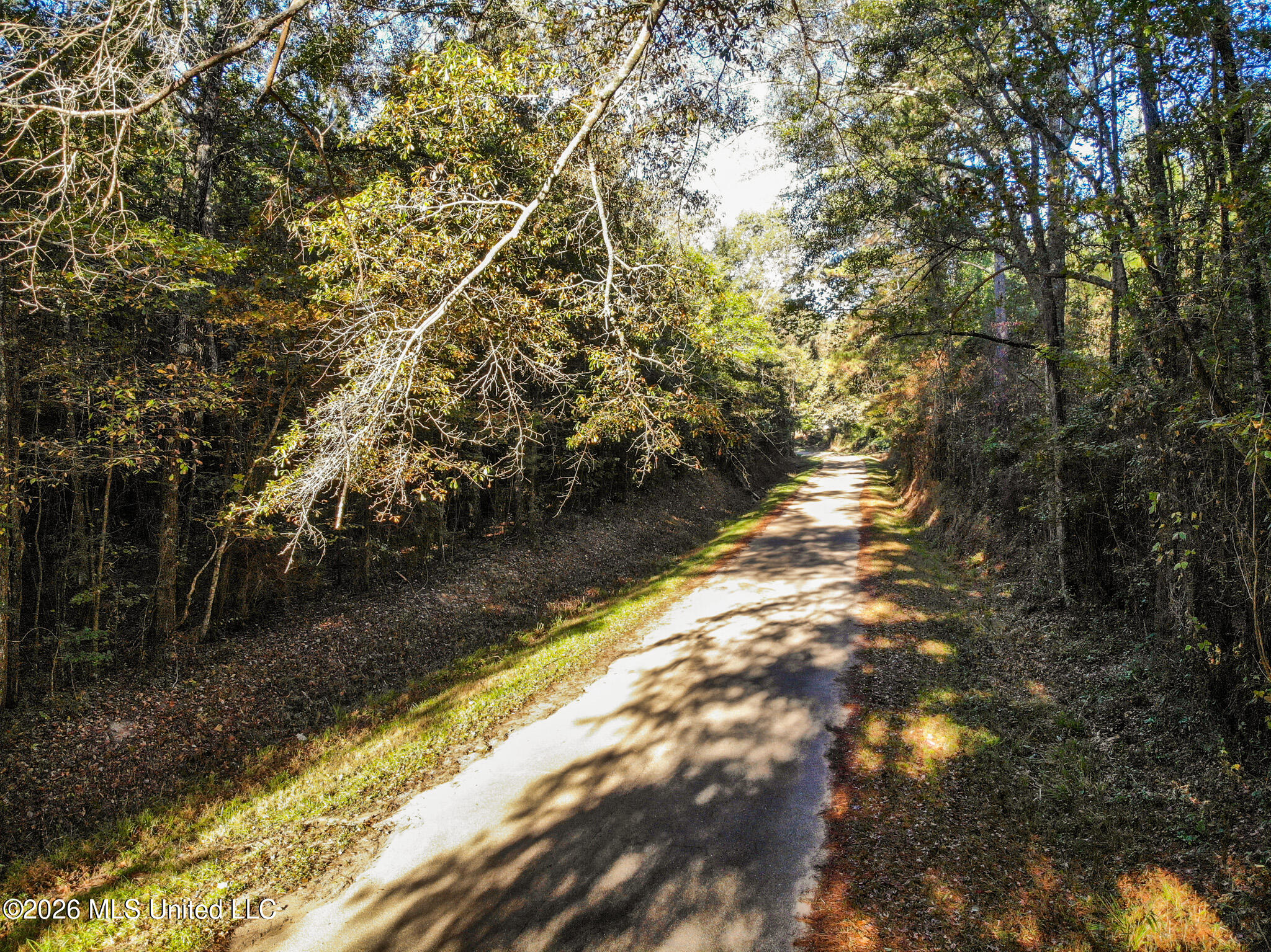 Sandflat Road Meridian, MS 39301 - Photo 3 of 11 DJI_0809