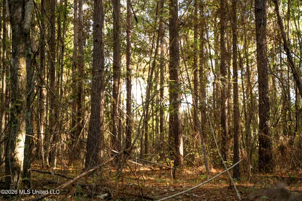 $126,000 | Sandflat Road, Meridian, MS 39301