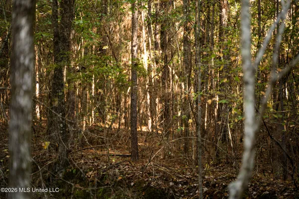 $126,000 | Sandflat Road, Meridian, MS 39301