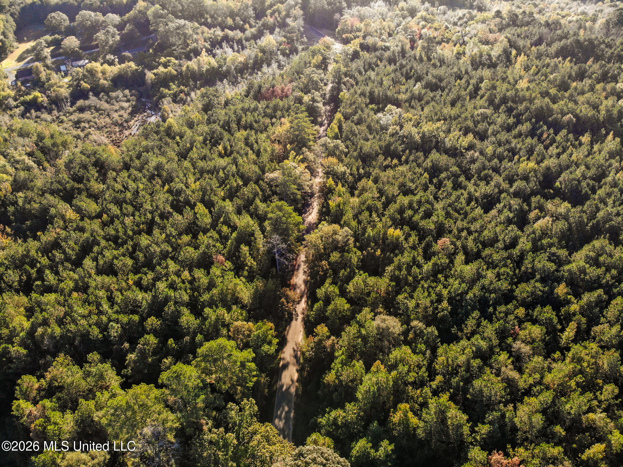 Sandflat Road Meridian, MS 39301 - Photo 7 of 11 DJI_0787