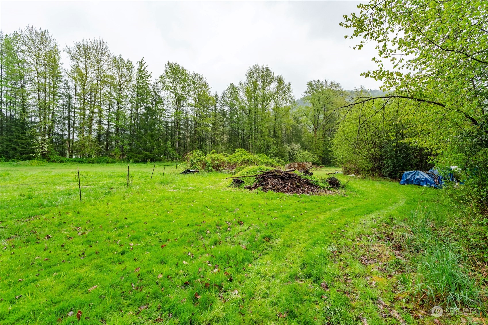 28713 Northeast Healy Road Amboy, WA 98601 - Photo 17 of 32 Gallery Image 17