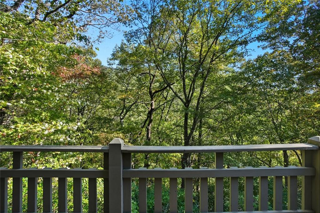 203 Wild Azalea Circle Jasper, GA 30143 - Photo 34 of 37 a view of trees and trees in a window