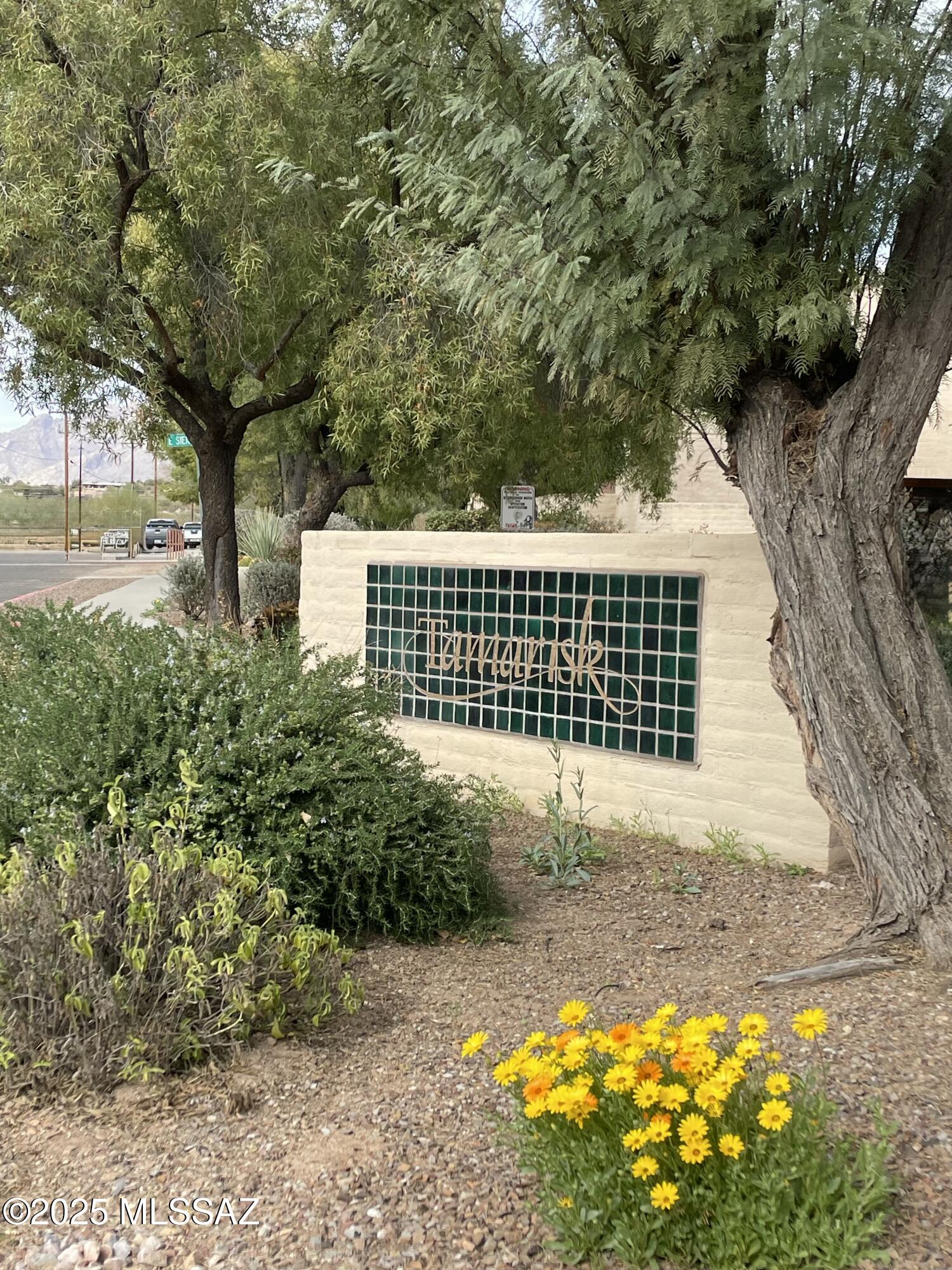 2853 East Sierra Vista Road Tucson, AZ 85716 - Photo 3 of 44