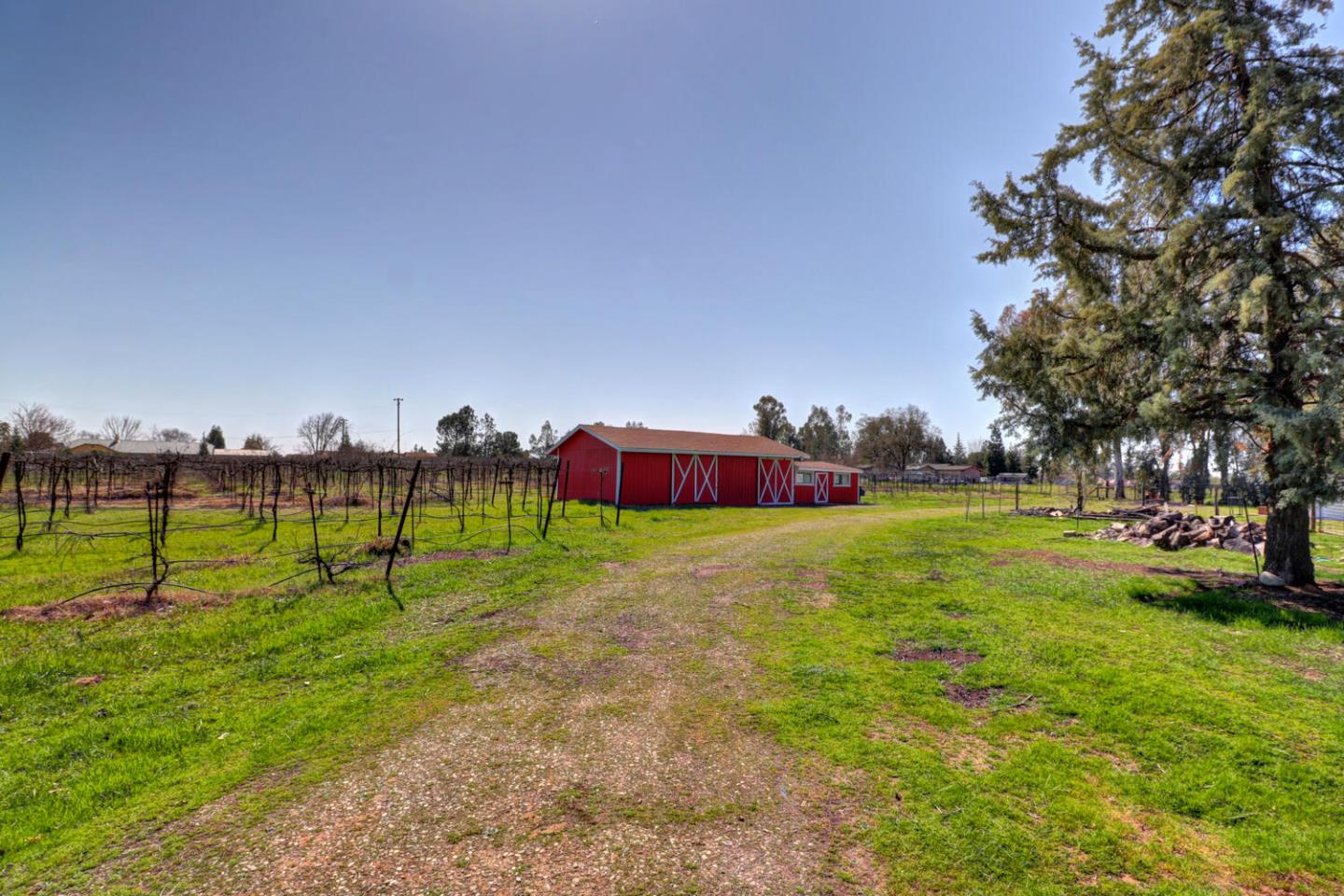 9809 Alta Mesa Road Wilton, CA 95693 - Photo 42 of 86 a view of a park with large trees
