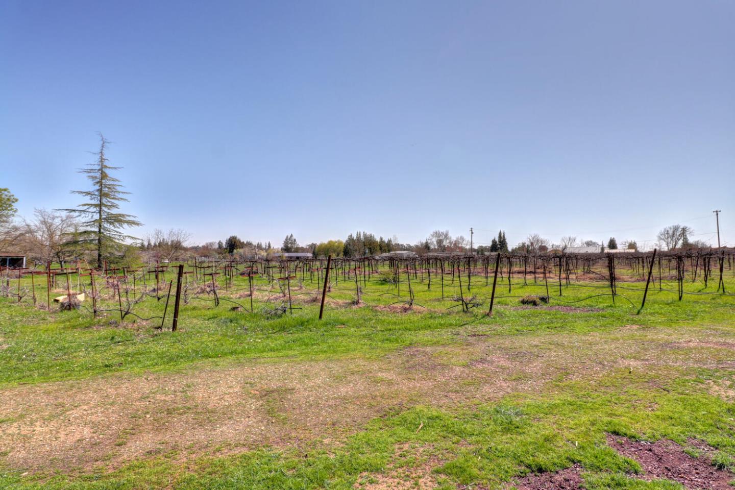 9809 Alta Mesa Road Wilton, CA 95693 - Photo 46 of 86