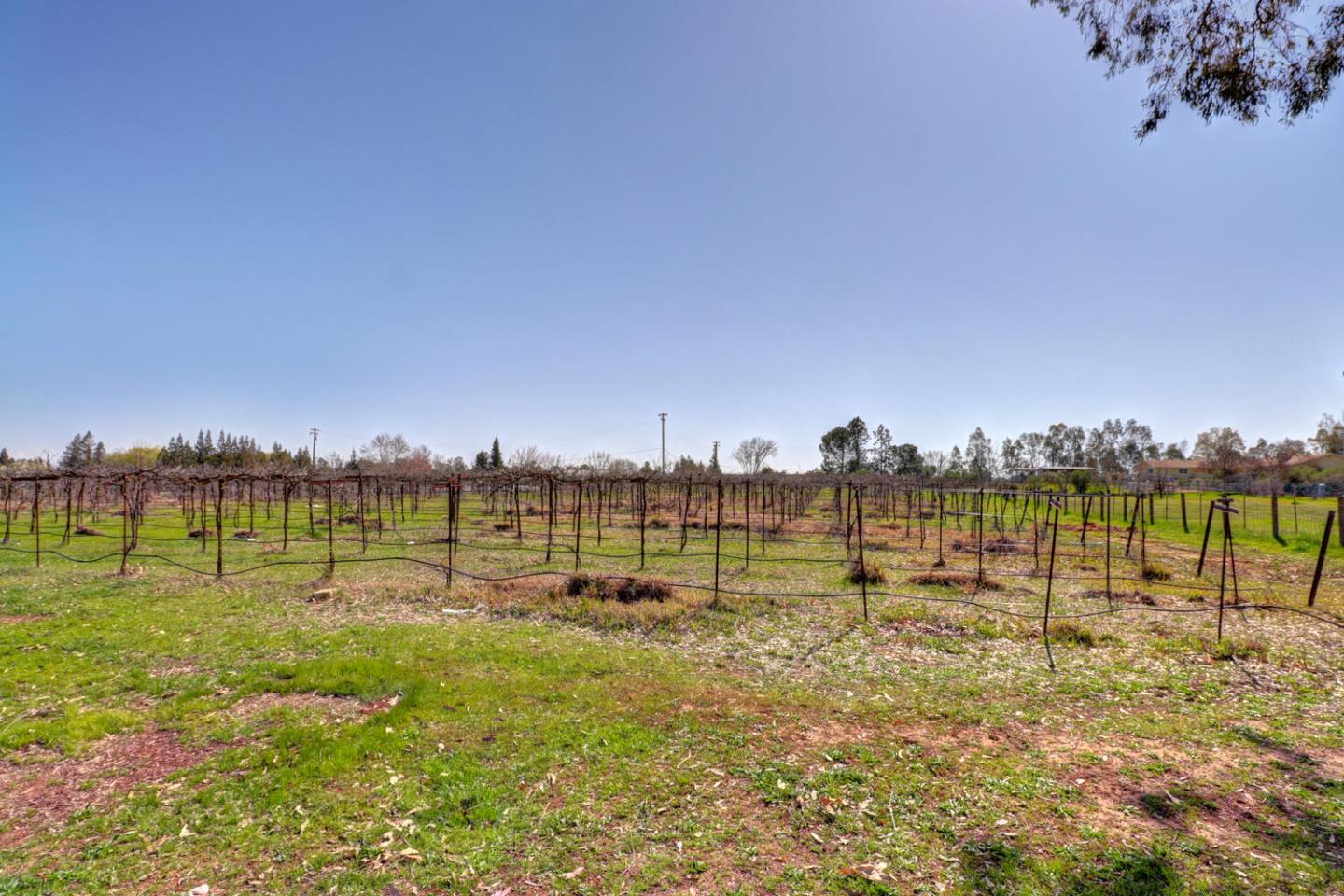 9809 Alta Mesa Road Wilton, CA 95693 - Photo 47 of 86 a view of a lake with houses and trees all around