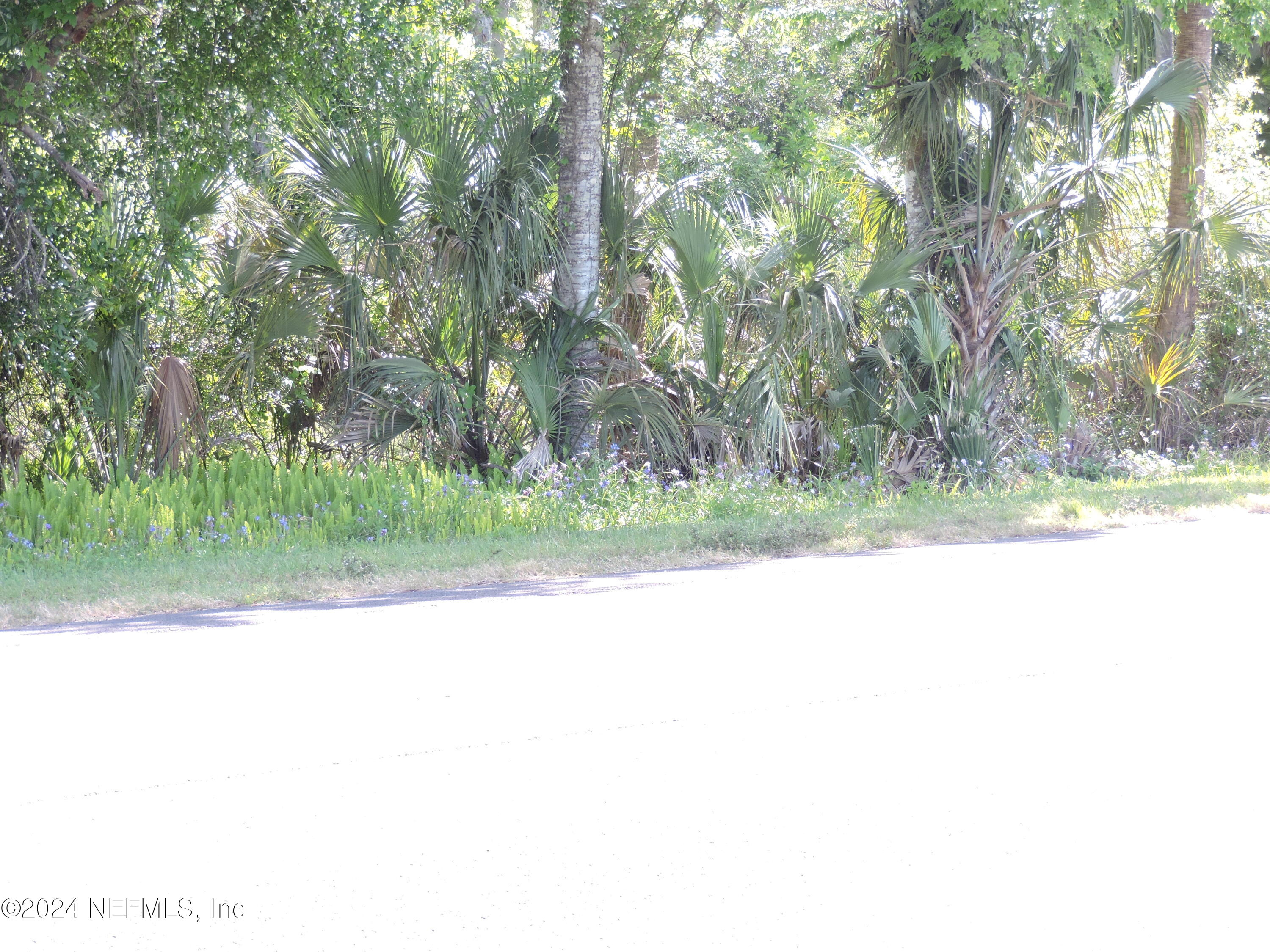 7280-7250 Highway 1 St. Augustine, FL 32095 - Photo 14 of 29 Property Frontage 2