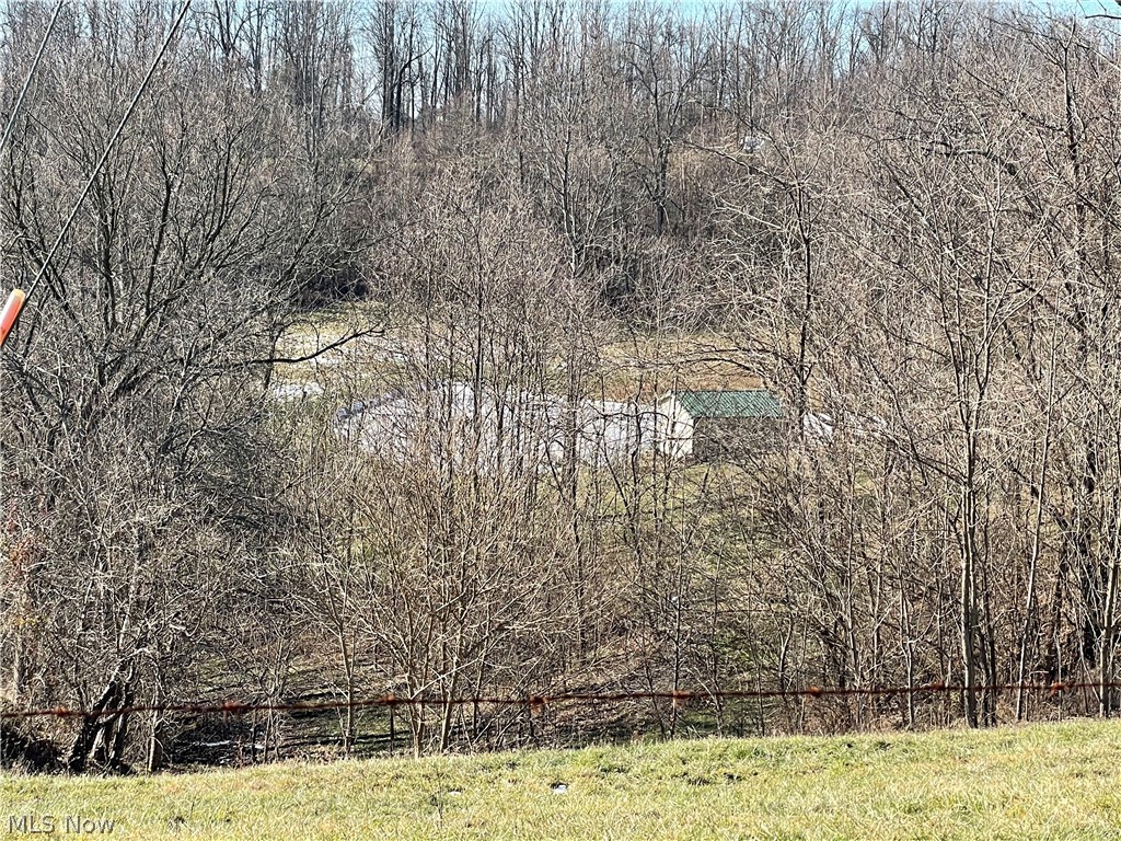 Tbd Arman Hill Road Powhatan Point, OH 43942 - Photo 9 of 17 Gallery Image 9