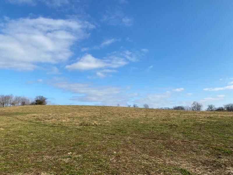 120271 Walnut Grove Road, Unit TRACT # 1 Carlisle, KY 40311 - Photo 16 of 39 16