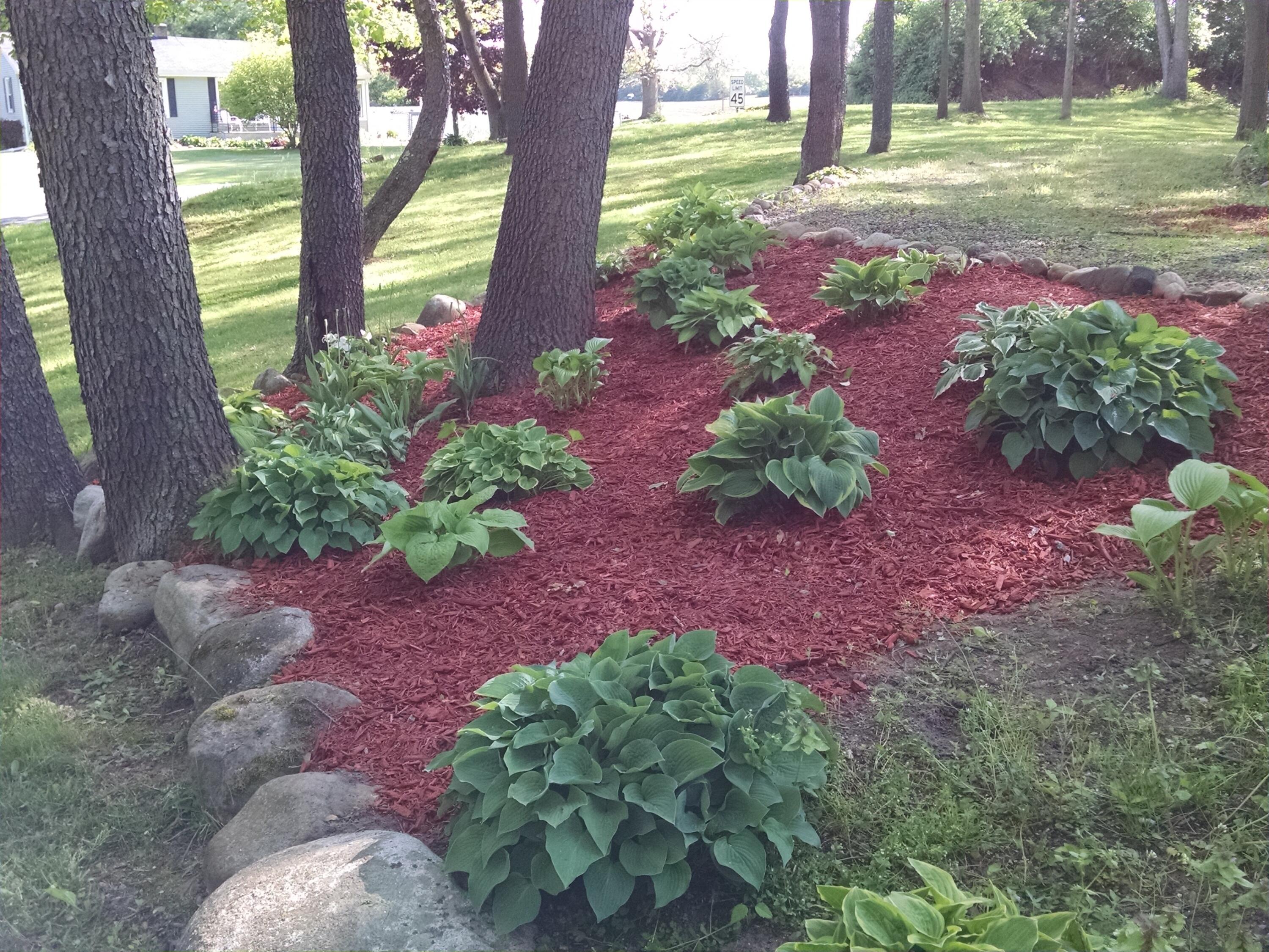 6770 King Road Spring Arbor, MI 49283 - Photo 32 of 36 IMG_20160522_171316190