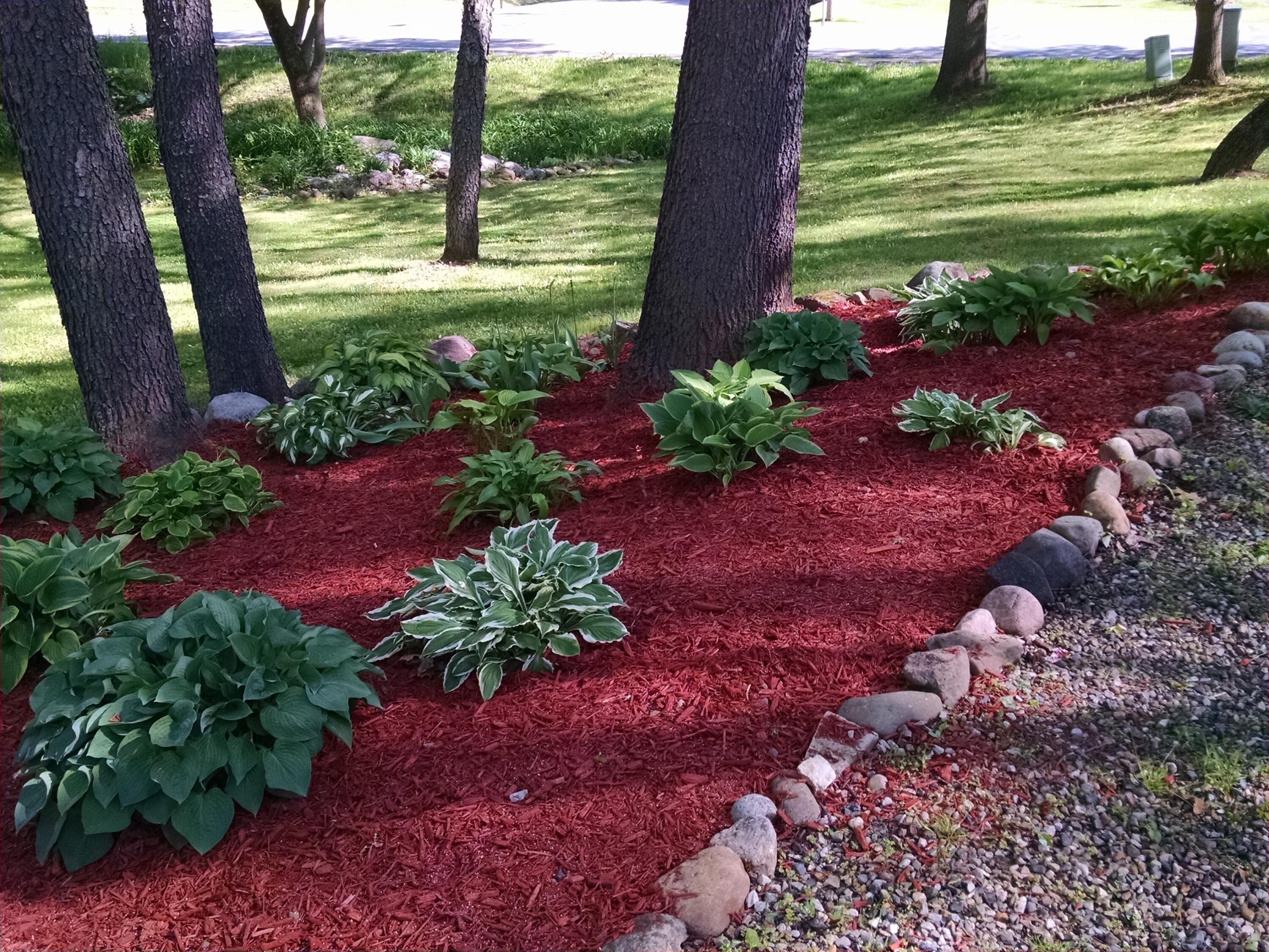 6770 King Road Spring Arbor, MI 49283 - Photo 33 of 36 IMG_20160522_171330479
