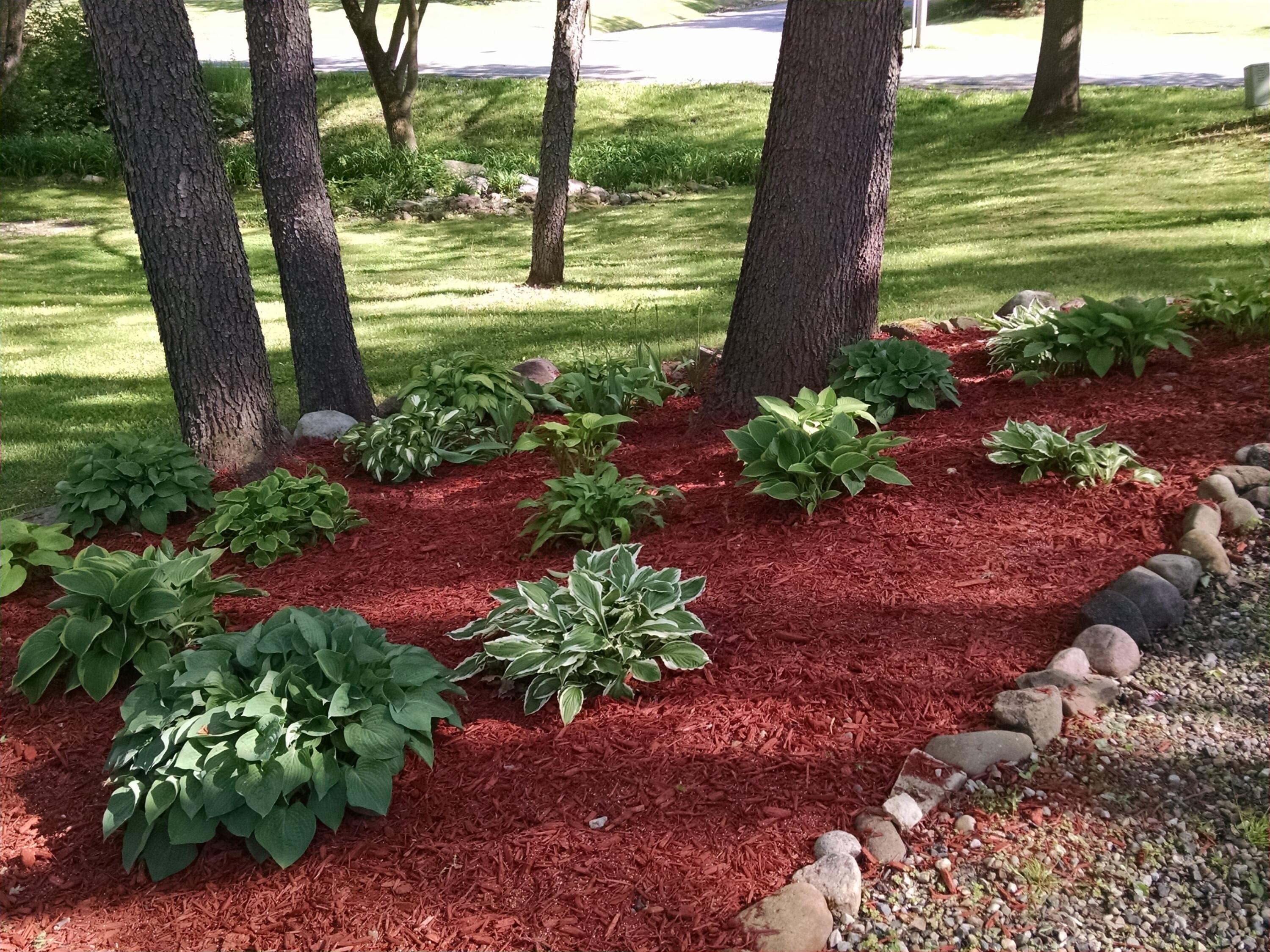6770 King Road Spring Arbor, MI 49283 - Photo 34 of 36 IMG_20160522_171334177