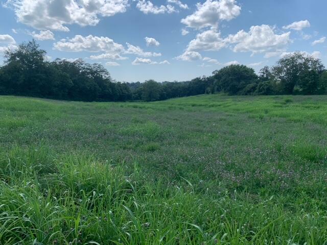 0 West Howards Mill Road Owingsville, KY 40360 - Photo 5 of 11 Image 4