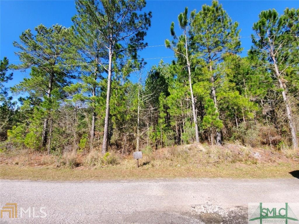 0 Main, Unit 10 Midway, GA 31320 - Photo 1 of 1 Gallery Image 1