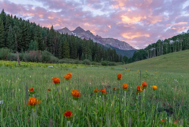 $10,500,000 | Tbd Sunshine Mesa Road, Telluride, CO 81435