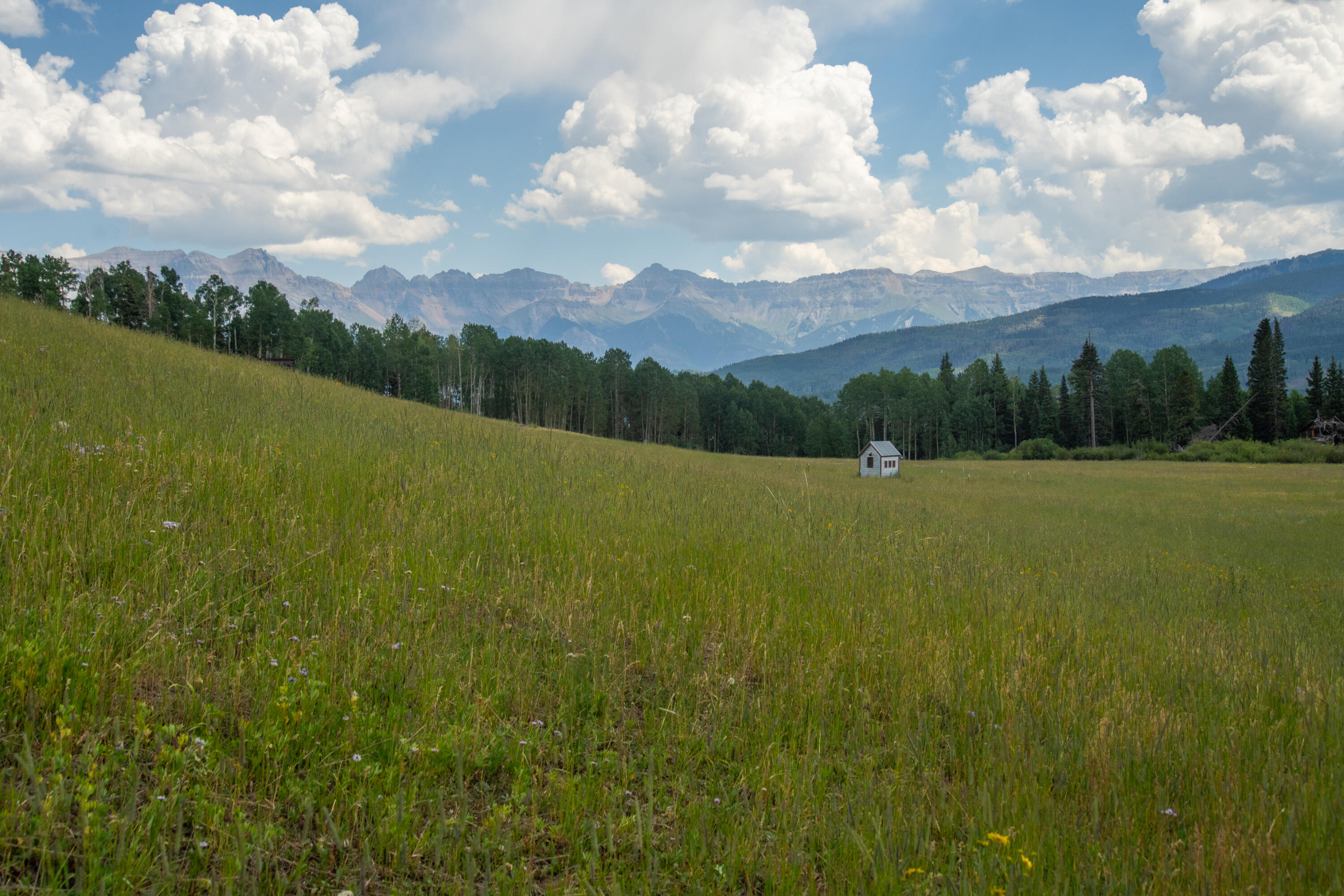 Tbd Sunshine Mesa Road Telluride, CO 81435 - Photo 11 of 23 DSC01013