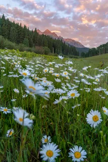 $10,500,000 | Tbd Sunshine Mesa Road, Telluride, CO 81435