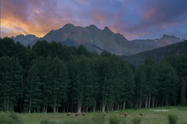 $10,500,000 | Tbd Sunshine Mesa Road, Telluride, CO 81435