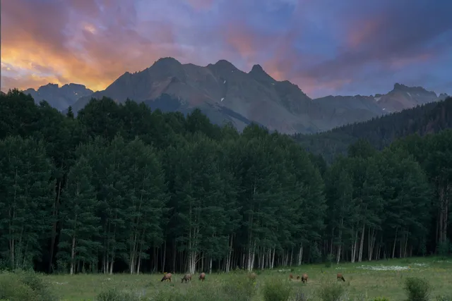 $10,500,000 | Tbd Sunshine Mesa Road, Telluride, CO 81435