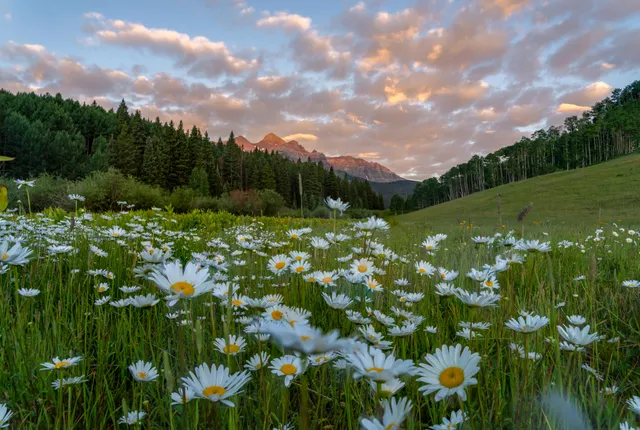 $10,500,000 | Tbd Sunshine Mesa Road, Telluride, CO 81435