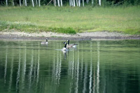 $10,500,000 | Tbd Sunshine Mesa Road, Telluride, CO 81435