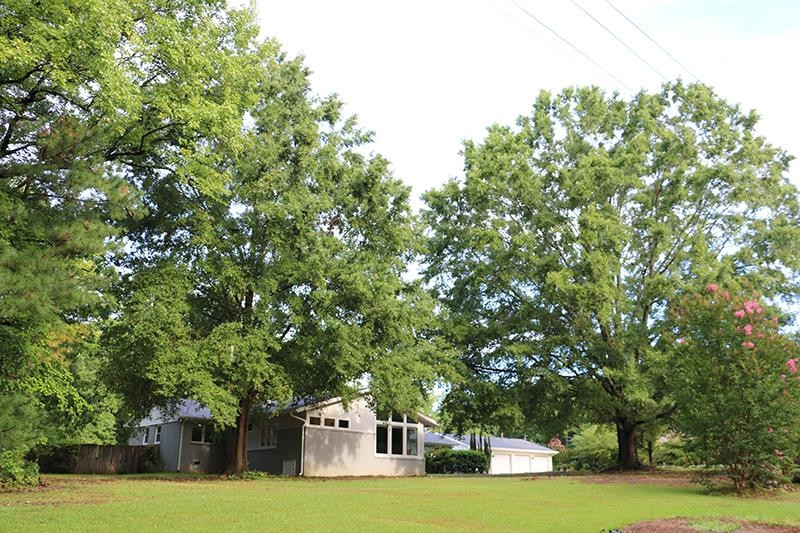 1421 Jenks Carpenter Road Cary, NC 27519 - Photo 20 of 65 Exterior Front