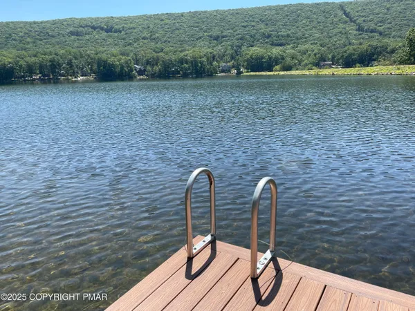 a view of a large tree with a yard