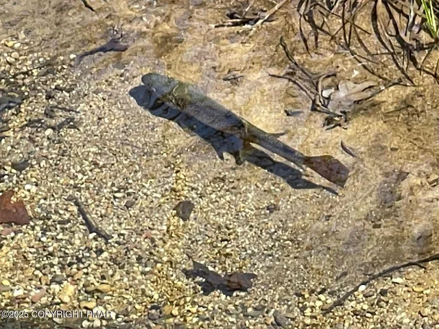 $899,000 | 336 Lake Valley Drive, Hazleton, PA 18202