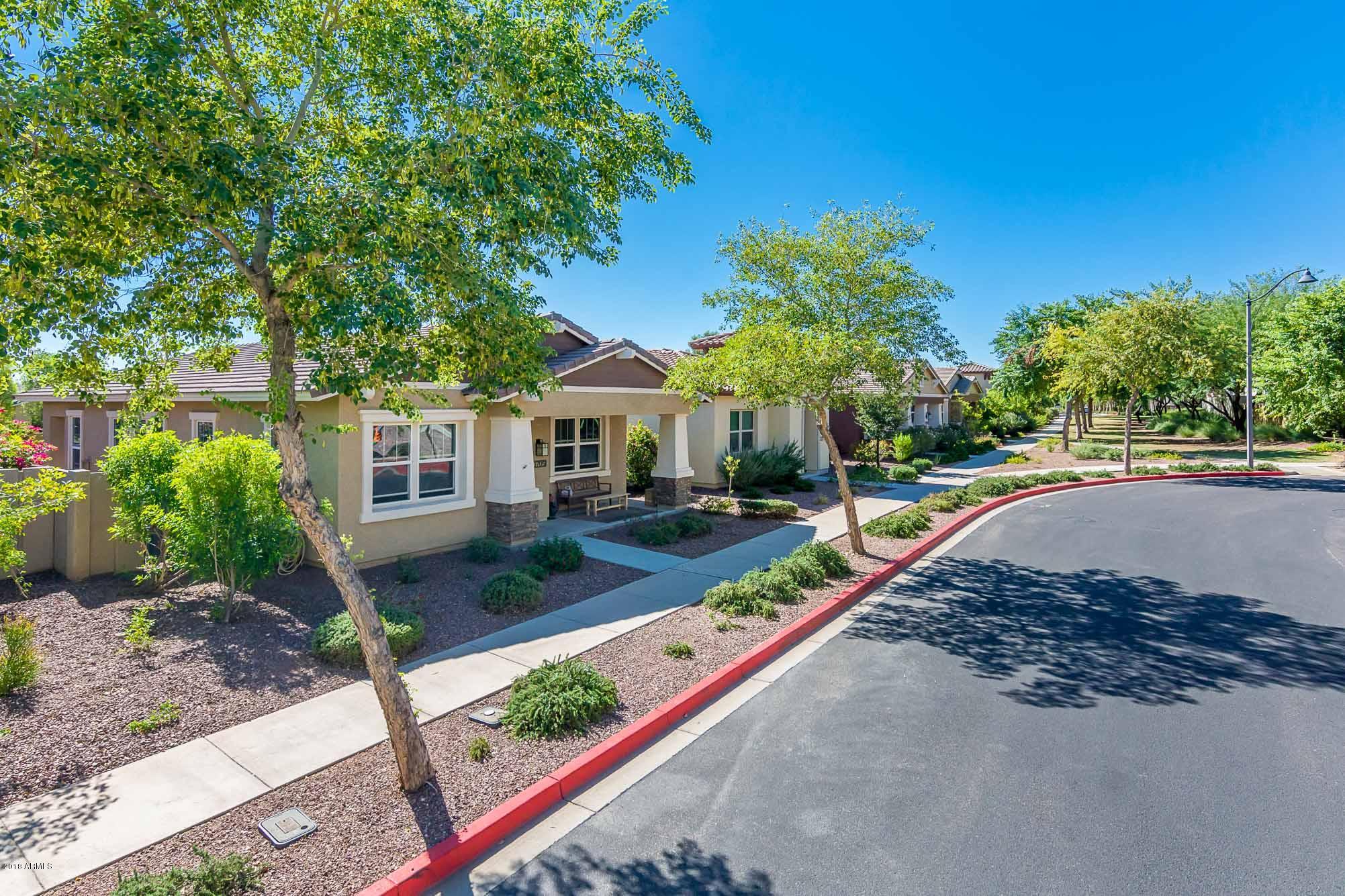 20705 West Ridge Road Buckeye, AZ 85396 - Photo 3 of 26 a view of a house with backyard and a tree