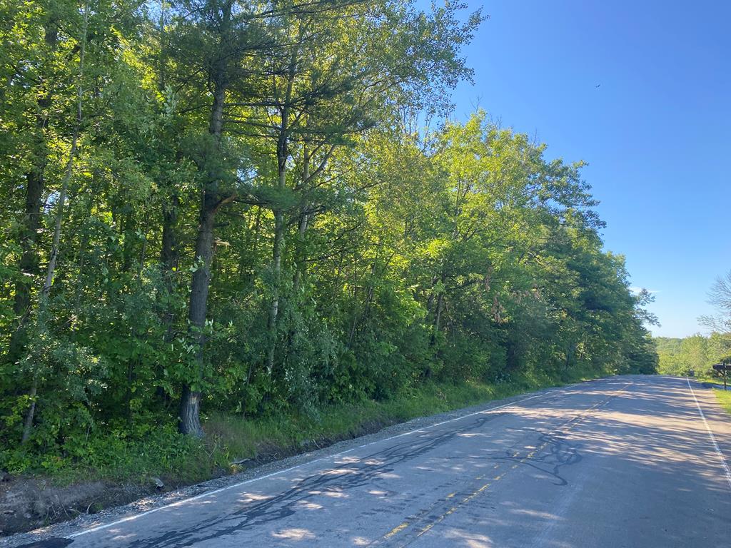 0 Hickock Road Corning, NY 14830 - Photo 1 of 1