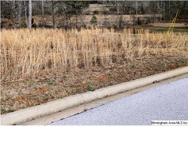 Mount Eagle Lane, Unit 2 Weaver, AL 36277 - Photo 22 of 26