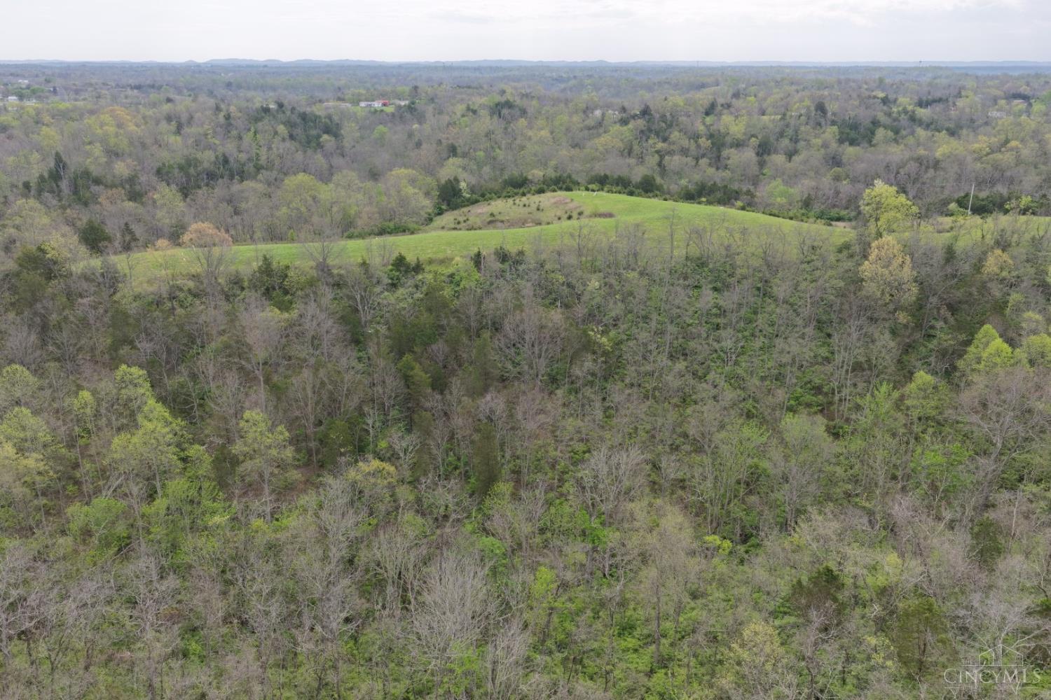 9951 Fishing Gut Road Aberdeen, OH 45101 - Photo 43 of 50